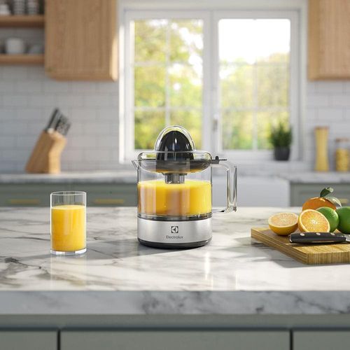 Espremedor de Frutas Electrolux Efficent ECP10 com 2 Cones, 800 ml e 30 W - Preto 110V