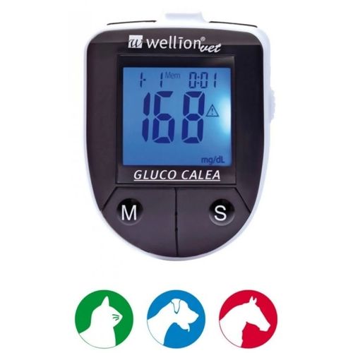 Estação com Monitor Gluco Calea