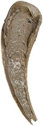 Máscara Facial Ricca de Argila Natural com 1 unidade