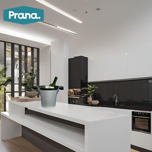 Balde Espumante Vinho Parede Dupla Gelo Champanheira Prana