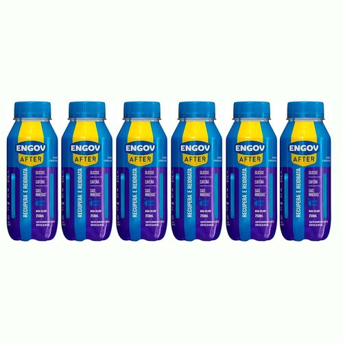 Kit 6 Engov After Berry Vibes 250ml cada