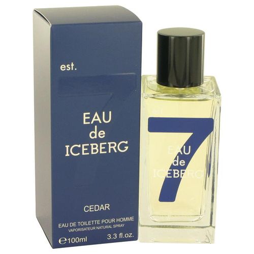 Perfume Masculino Cedar Iceberg 100 ML Eau De Toilette