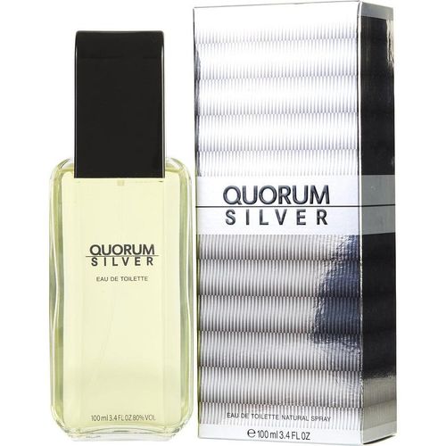 Perfume Masculino Quorum Silver Antonio Puig Eau De Toilette Spray 100 Ml