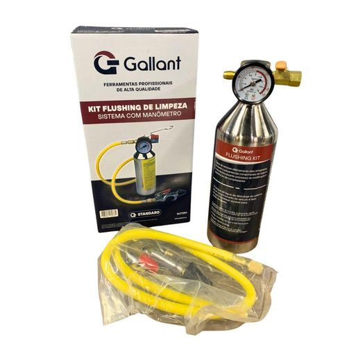 Kit limpeza gallant glt1311